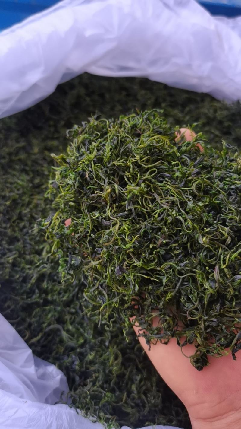 小苦丁(青山绿水)产地加工直销