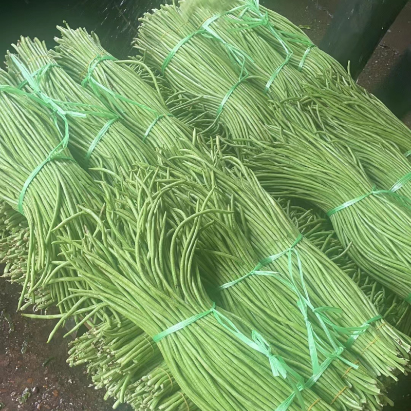 精品农家长豆，长豆角，四季豆，原产地一手货源。需要联系