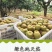 黄花梨基地直供个头大水分足口感细腻可供超市电商