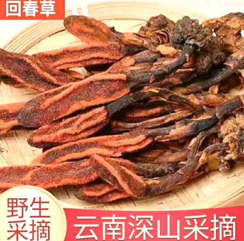 回春草中药材云南野生回春草泡酒泡茶煲汤保质保量包邮