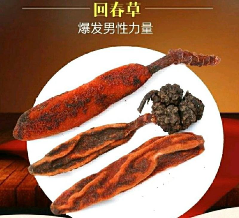 回春草中药材云南野生回春草泡酒泡茶煲汤保质保量包邮