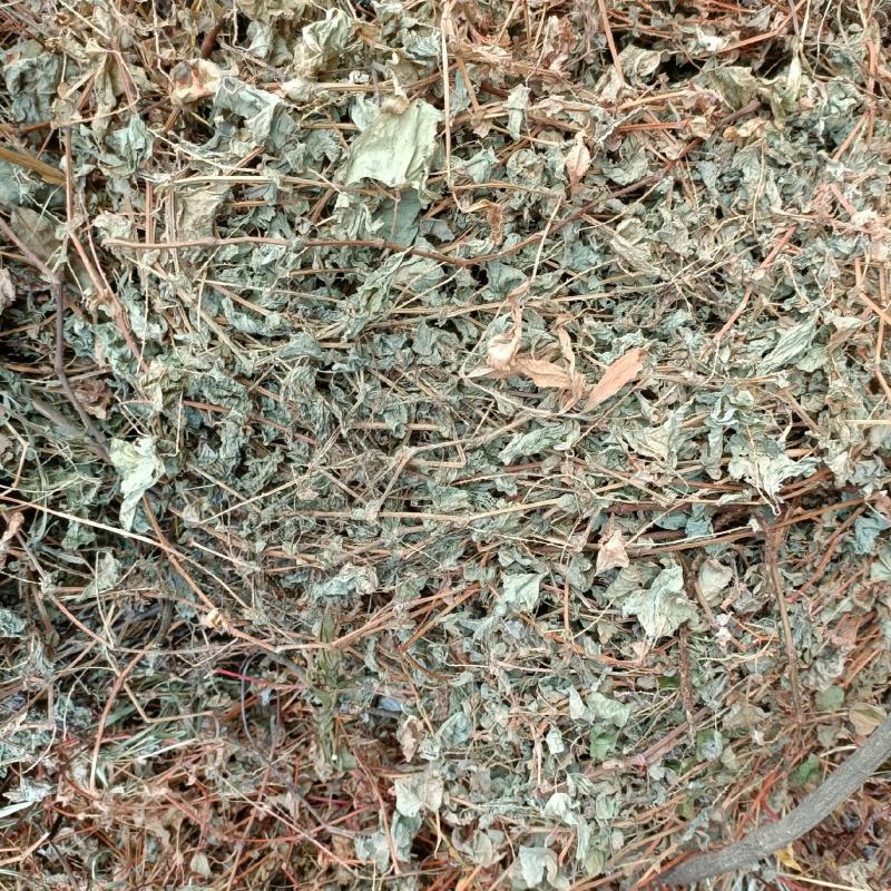 杠板归蛇倒退河白草新货自然晒干2023批发