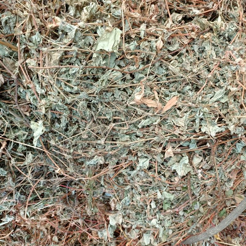 杠板归蛇倒退河白草新货自然晒干2023批发