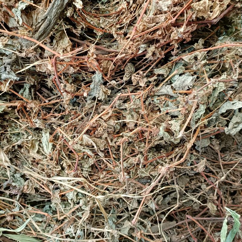 杠板归蛇倒退河白草新货自然晒干2023批发