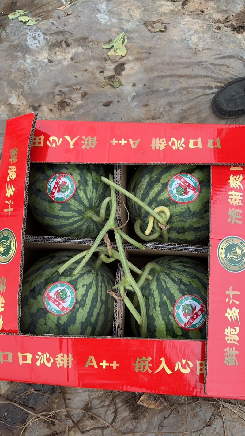 河南开封有籽，无籽美都，包熟包甜，品质保证，诚信至上