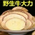 野生牛大力中药材牛大力泡茶泡酒煲汤健康养生包邮
