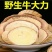 野生牛大力中药材牛大力泡茶泡酒煲汤健康养生包邮