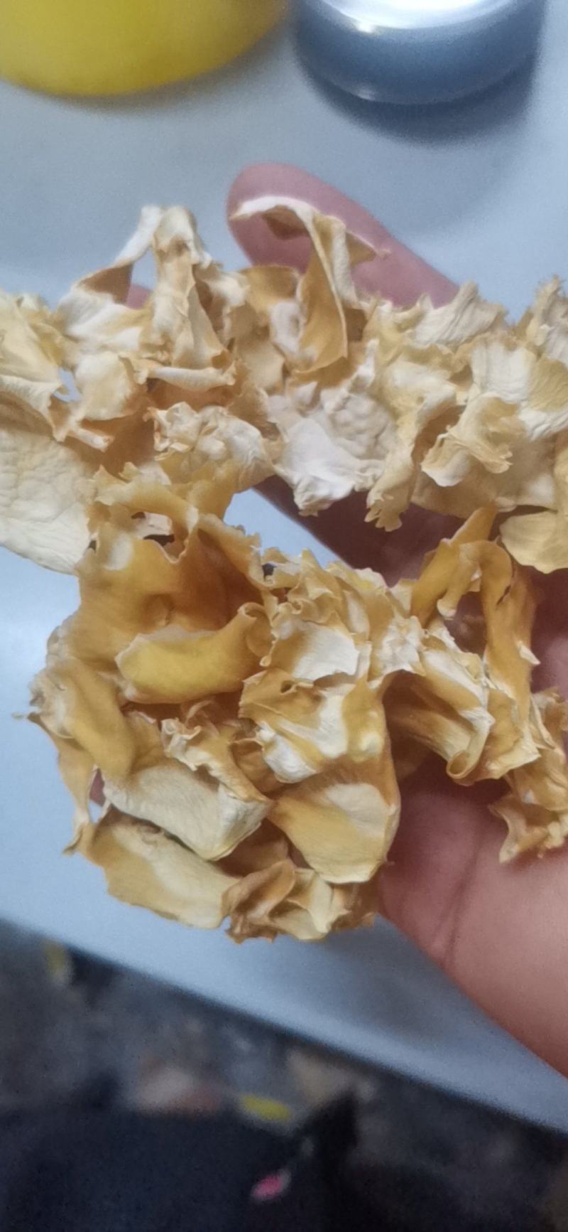 绣球菌肉质脆嫩，风味独特