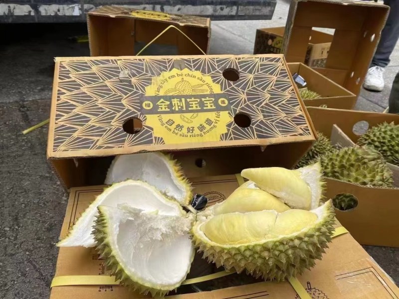 金枕榴莲一级市场直发，价格优势，欢迎各级市场对接探讨