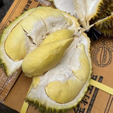 金枕榴莲一级市场直发，价格优势，欢迎各级市场对接探讨