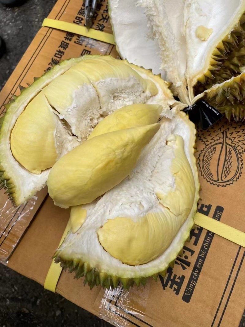 金枕榴莲一级市场直发，价格优势，欢迎各级市场对接探讨