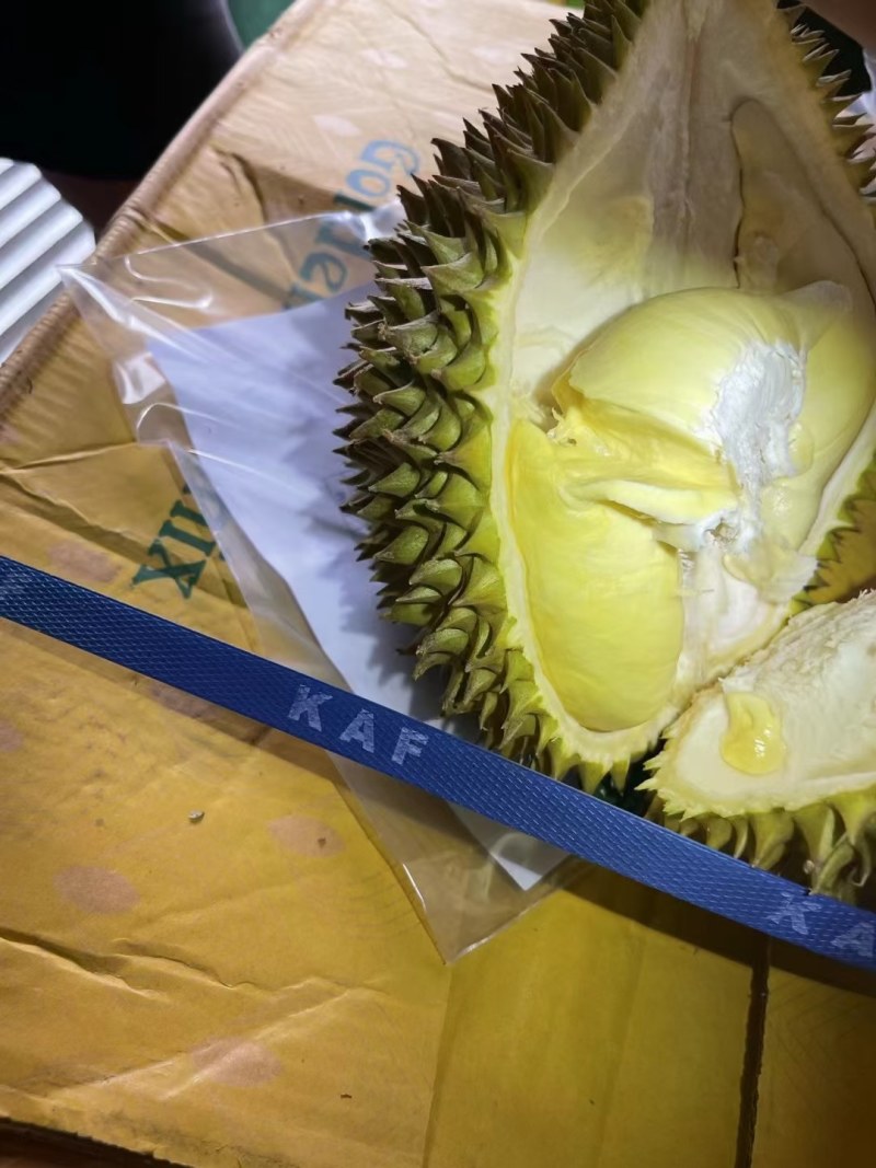 金枕榴莲一级市场直发，价格优势，欢迎各级市场对接探讨