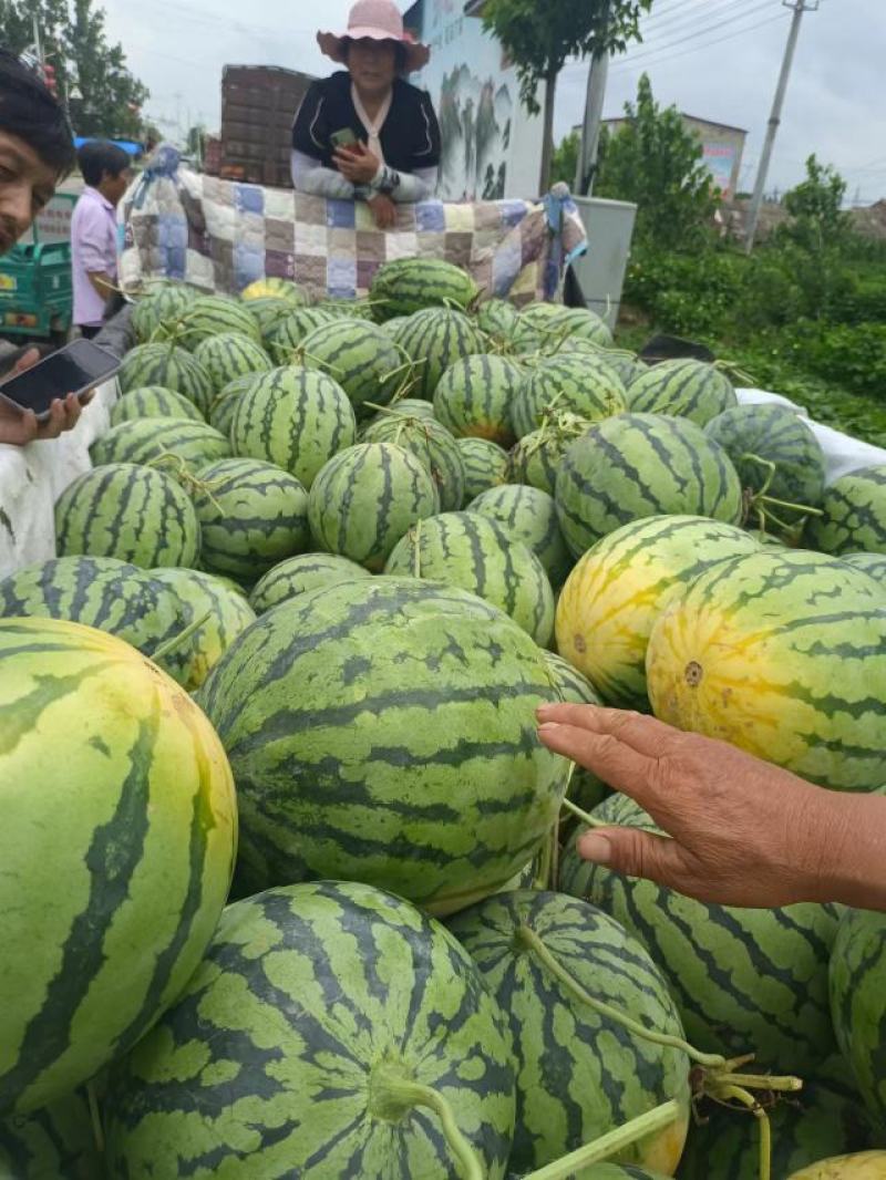 精品头茬西瓜大量上市