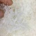 正品羊角丝中药材山羊角丝干净无杂真材实料泡如喝包邮