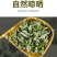 野生艾草艾叶中药材优质艾叶自然晒干泡脚泡澡驱蚊包邮