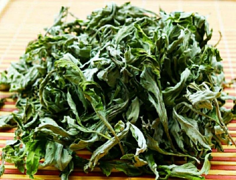 野生艾草艾叶中药材优质艾叶自然晒干泡脚泡澡驱蚊包邮