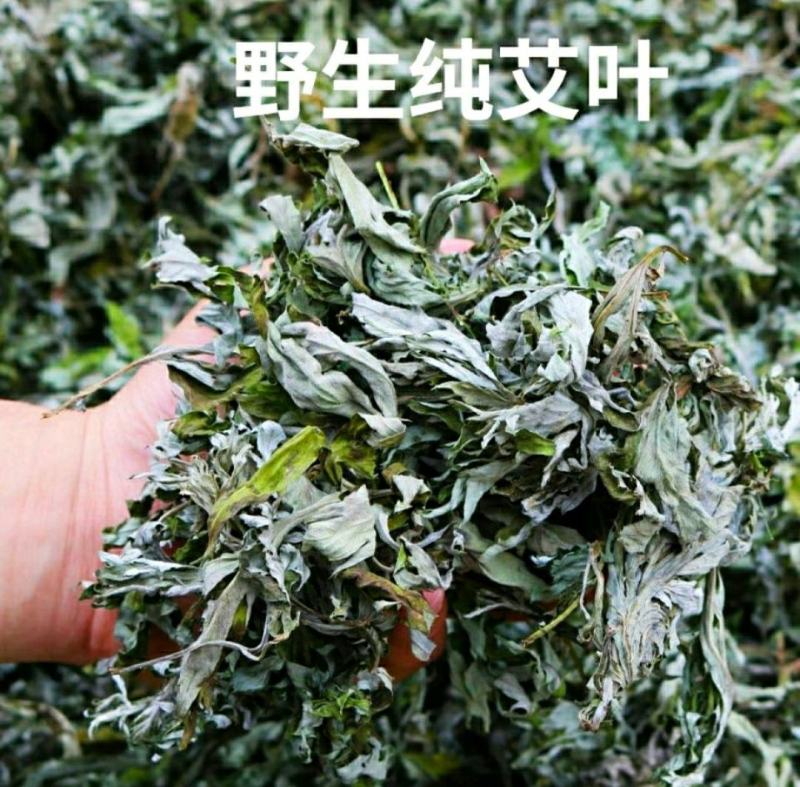 野生艾草艾叶中药材优质艾叶自然晒干泡脚泡澡驱蚊包邮