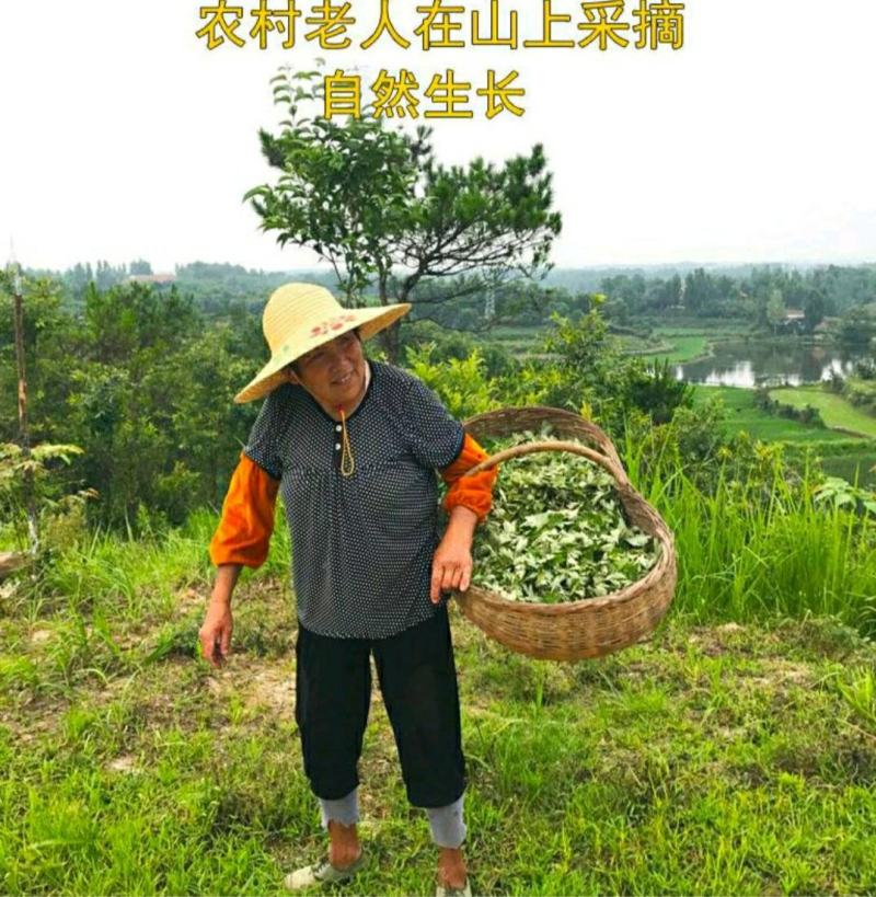 野生艾草艾叶中药材优质艾叶自然晒干泡脚泡澡驱蚊包邮