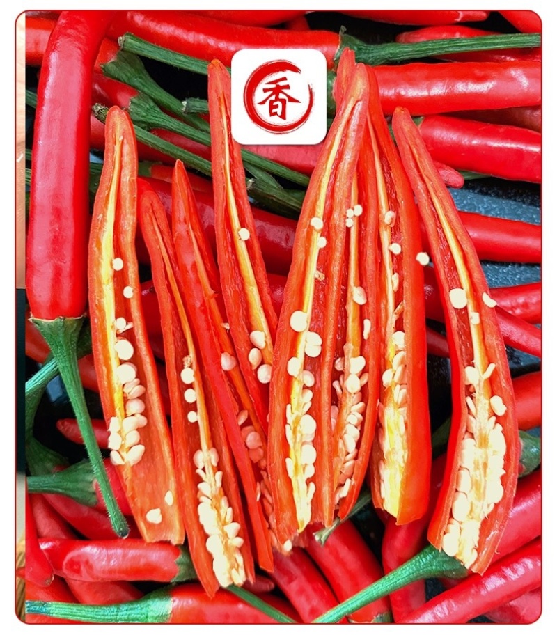 新鲜小米椒特辣小米椒鲜椒朝天椒红辣椒厂地5斤直销代发