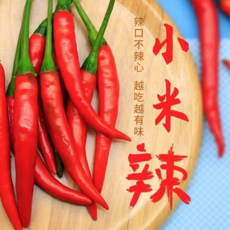 新鲜小米椒特辣小米椒鲜椒朝天椒红辣椒厂地5斤直销代发