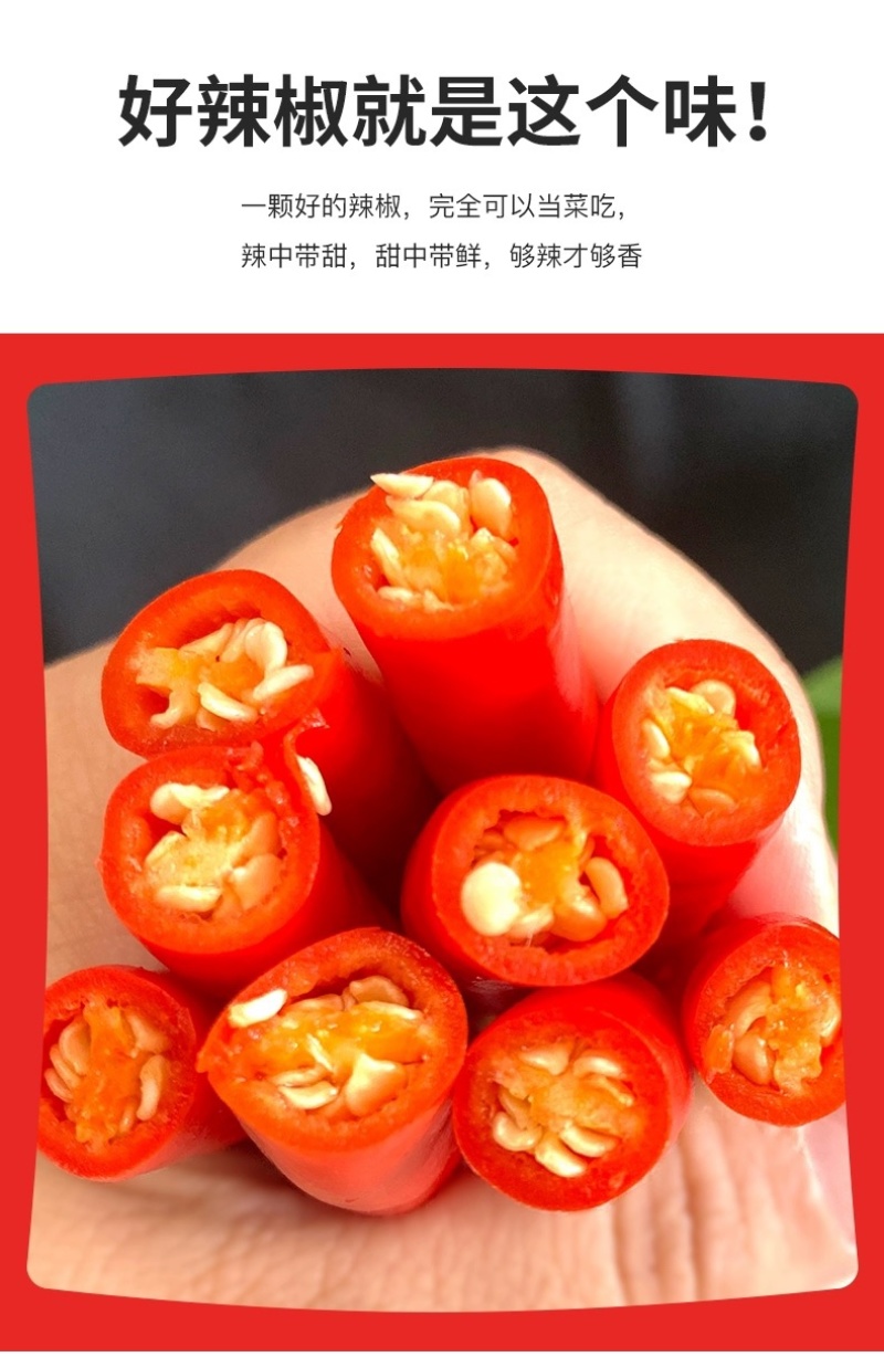 新鲜小米椒特辣小米椒鲜椒朝天椒红辣椒厂地5斤直销代发