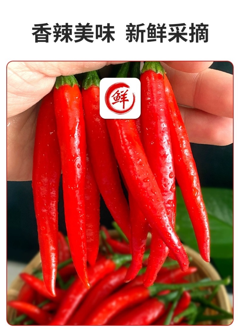 新鲜小米椒特辣小米椒鲜椒朝天椒红辣椒厂地5斤直销代发