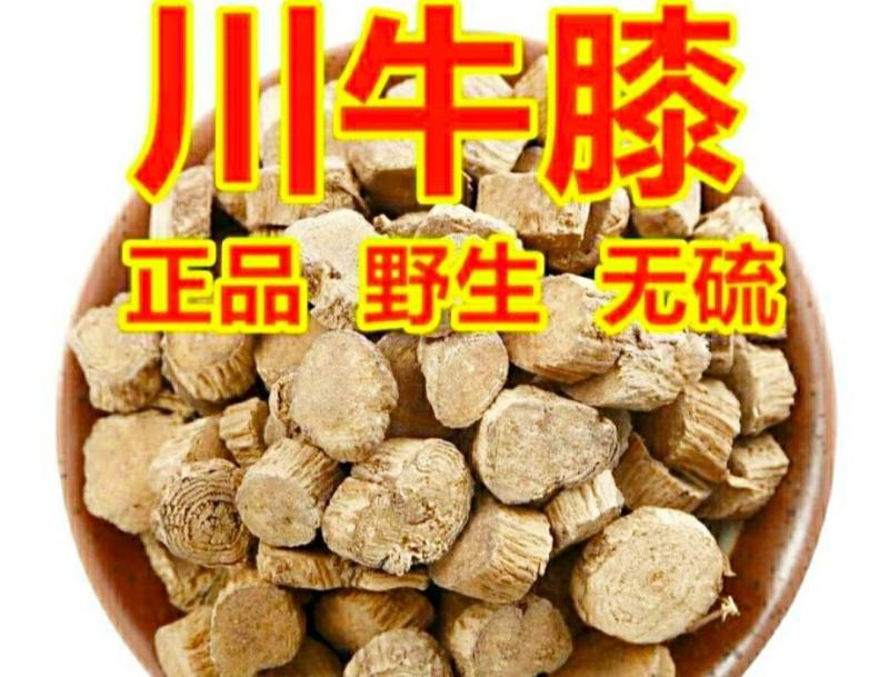 农家怀牛膝川牛膝道地中药材当季节新货保质保量包邮