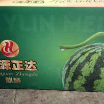 一级麒麟西瓜