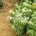 芭蕉