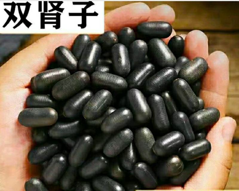 双肾子中药材石莲子颗粒饱满泡酒煲汤保质保量包邮