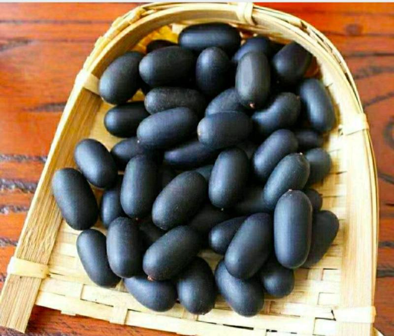 双肾子中药材石莲子颗粒饱满泡酒煲汤保质保量包邮