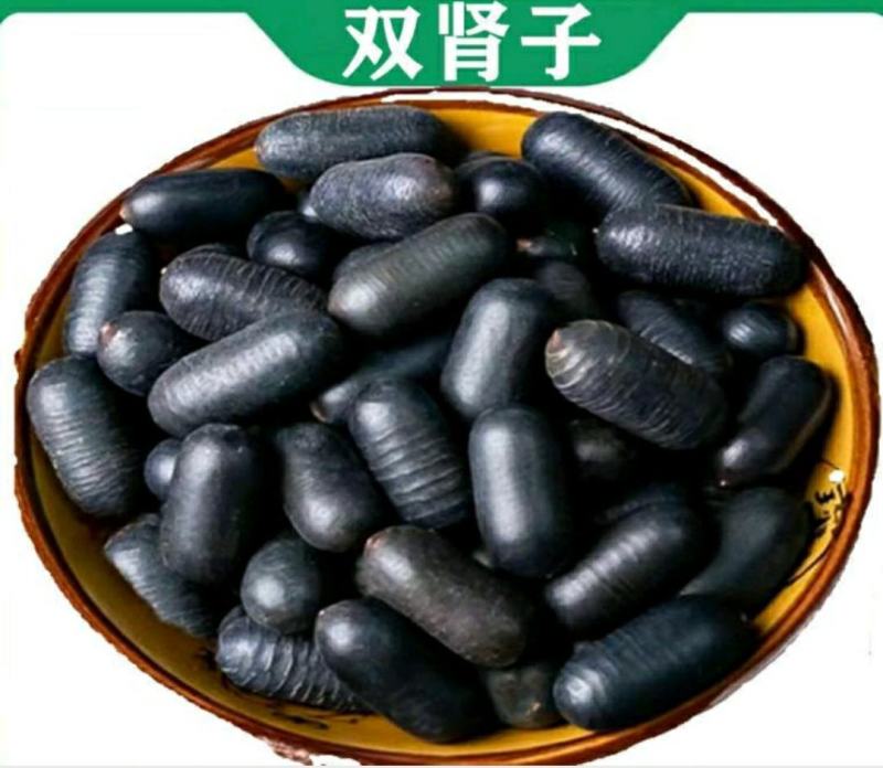双肾子中药材石莲子颗粒饱满泡酒煲汤保质保量包邮