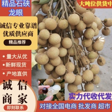 广西平南正宗石硖龙眼,核小肉多,脆甜可口一手货源价格实惠