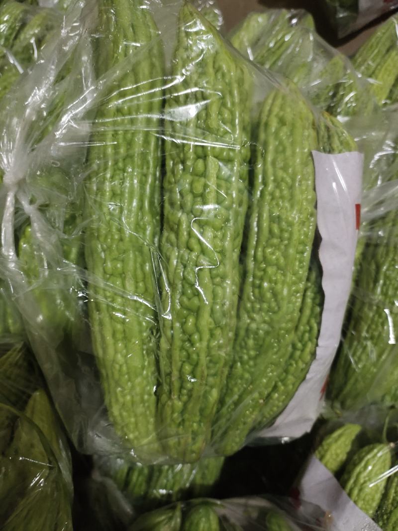 苦瓜，精品苦瓜，条形好，颜色油绿，个头均匀，产地直发，