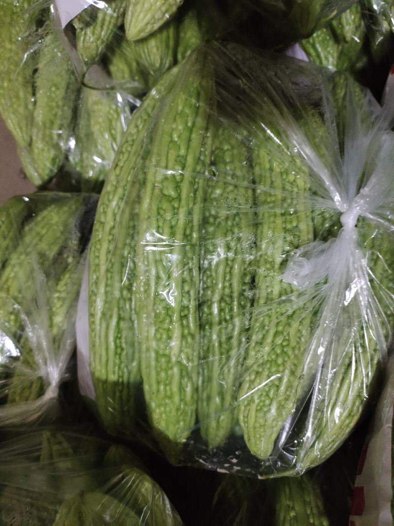 苦瓜，精品苦瓜，条形好，颜色油绿，个头均匀，产地直发，