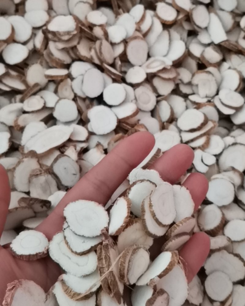 白芷片带硫白芷片大中小无硫卤料去腥白芷片一件代发