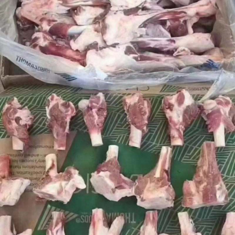 多肉羊棒骨