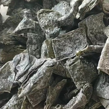 精品海带片山东海带条烘干盐渍海带片