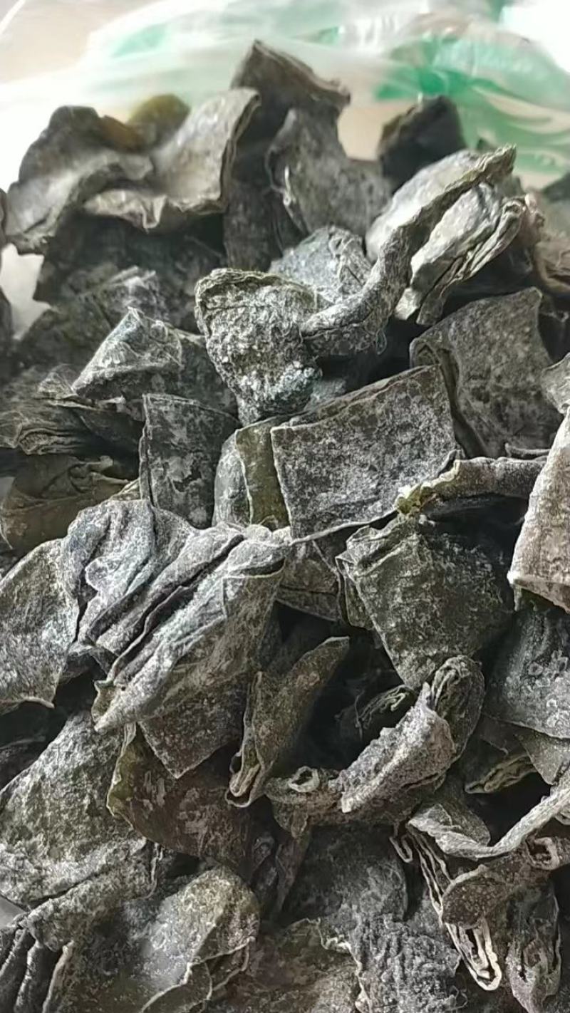 精品海带片山东海带条烘干盐渍海带片