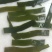 精品海带片山东海带条烘干盐渍海带片