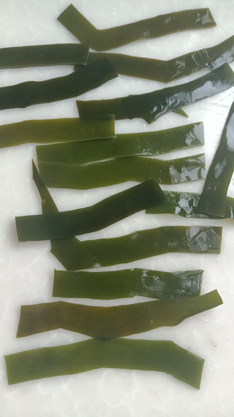 精品海带片山东海带条烘干盐渍海带片