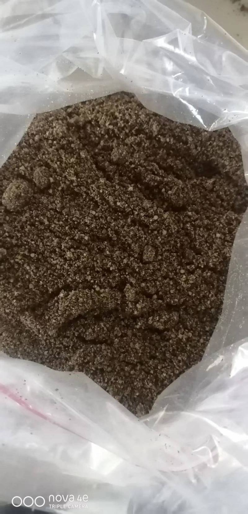 紫苏籽，一手货源，产地发货，质量保证，欢迎进店联系