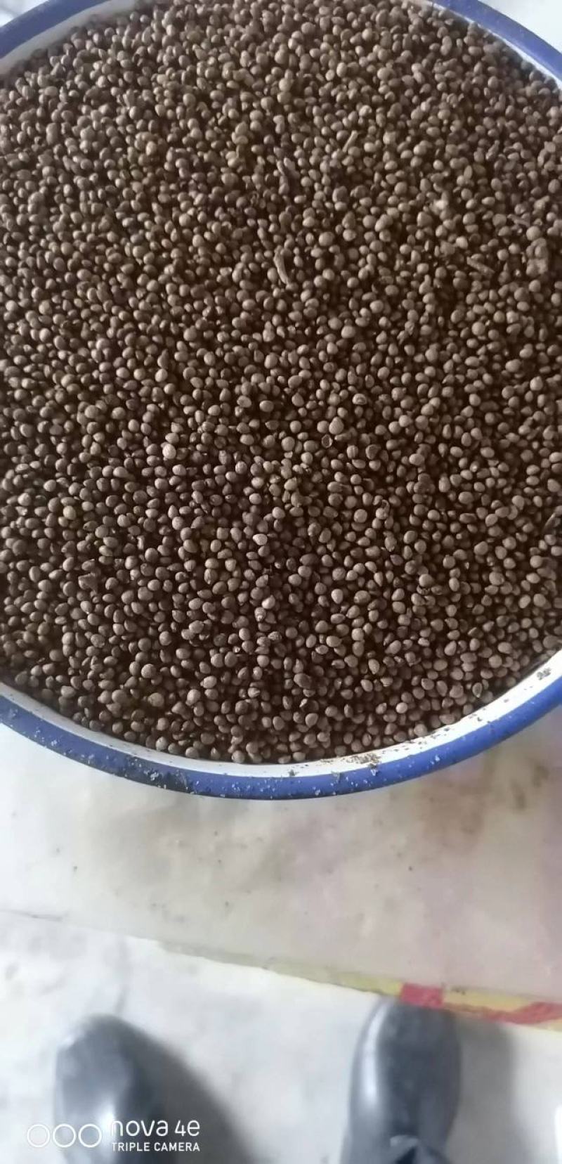 紫苏籽，一手货源，产地发货，质量保证，欢迎进店联系