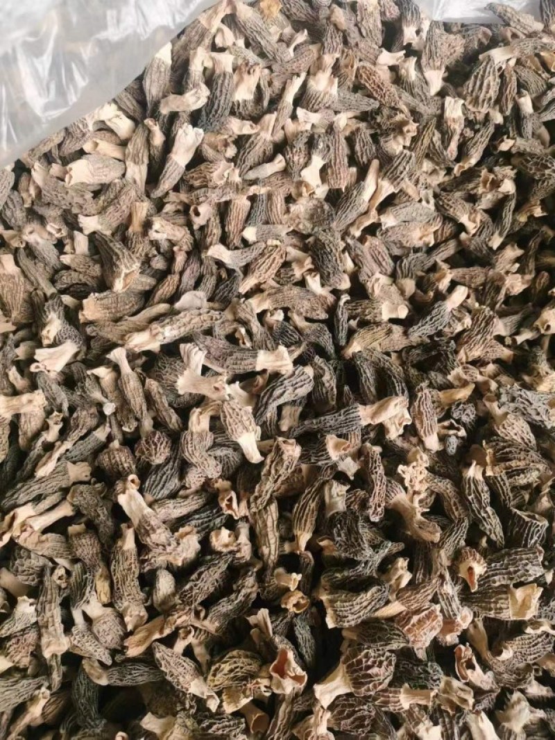 羊肚菌便宜卖