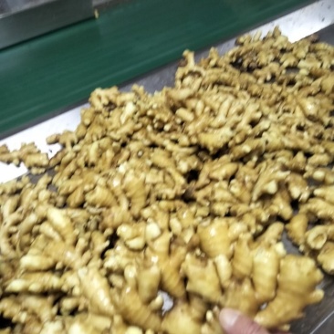 精品小黄姜代收代存物美价廉！货源充足，质量保证，全国发货