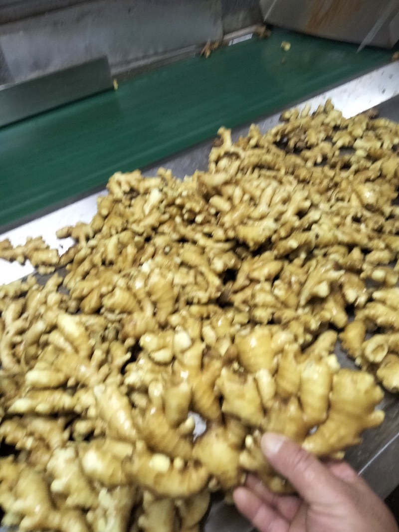 精品小黄姜代收代存物美价廉！货源充足，质量保证，全国发货