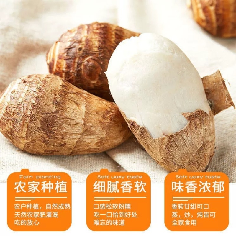 云南新鲜毛芋头整箱1斤2斤3斤5斤9斤软糯香甜