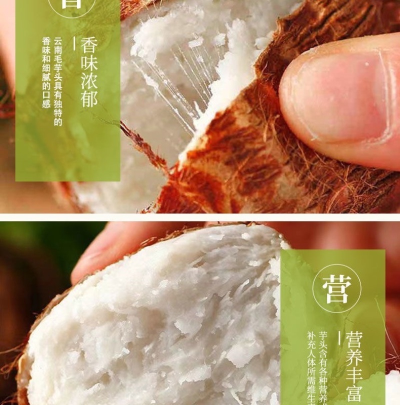 云南新鲜毛芋头整箱1斤2斤3斤5斤9斤软糯香甜