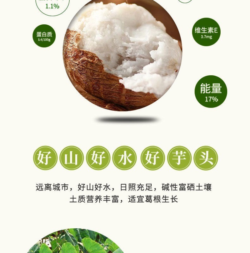 云南新鲜毛芋头整箱1斤2斤3斤5斤9斤软糯香甜