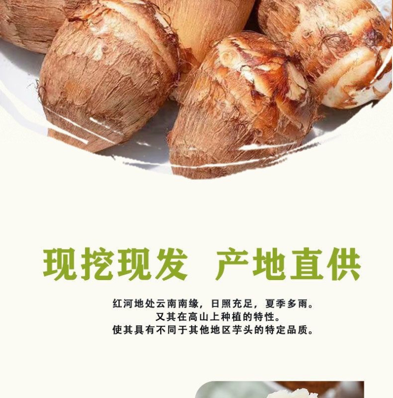 云南新鲜毛芋头整箱1斤2斤3斤5斤9斤软糯香甜